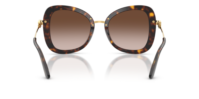 Dolce & Gabbana DG4535 in Havana / Brown Gradient (502/13) - Alternate View