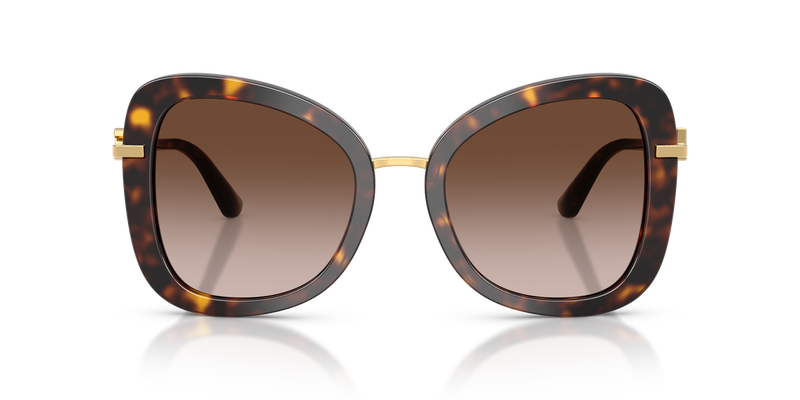 Dolce & Gabbana DG4535 in Havana / Brown Gradient (502/13) - Alternate View
