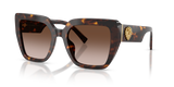 Havana / Gradient Brown (502/13)