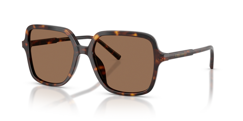 Dolce & Gabbana DG4539 in Havana / Dark Brown (502/73) - Alternate View