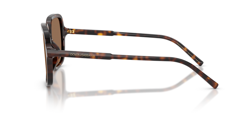 Dolce & Gabbana DG4539 in Havana / Dark Brown (502/73) - Alternate View