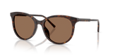 Havana / Dark Brown (502/13)