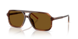 Brown On Striped Brown / Dark Brown Polarized (348183)
