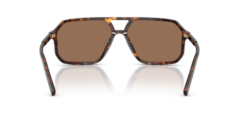 Dolce & Gabbana DG4541 in Havana / Dark Brown (502/73) - Alternate View