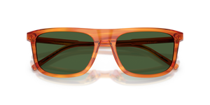 Camel On Striped Ginger / Dark Green (348371)
