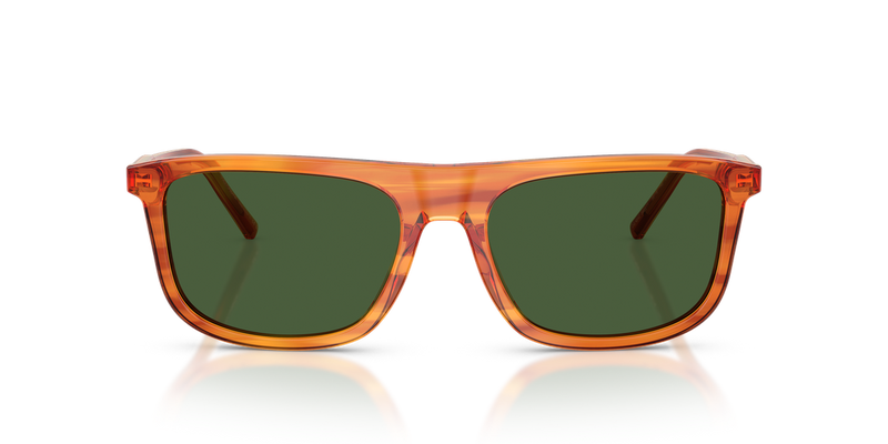 Dolce & Gabbana DG4542 in Camel On Striped Ginger / Dark Green (348371) - Alternate View