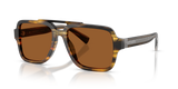 Striped Brown / Brown (306363)