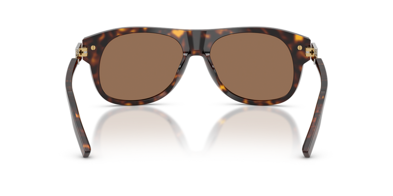 Dolce & Gabbana DG4546 in Havana / Dark Brown (502/73) - Alternate View