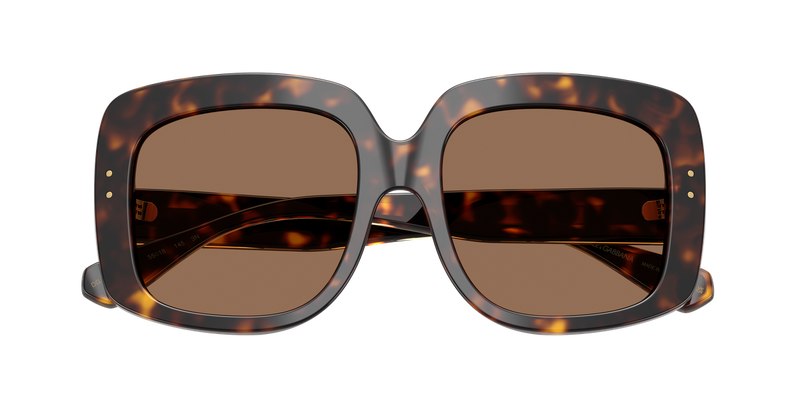 Dolce & Gabbana DG4557 in Havana - Alternate View
