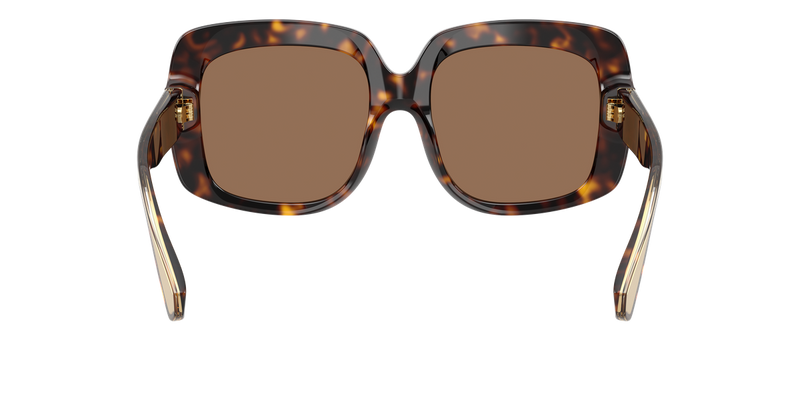 Dolce & Gabbana DG4557 in Havana - Alternate View