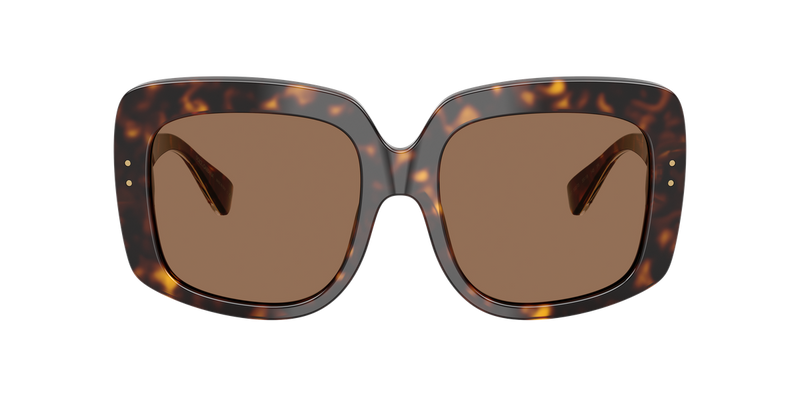 Dolce & Gabbana DG4557 in Havana - Alternate View