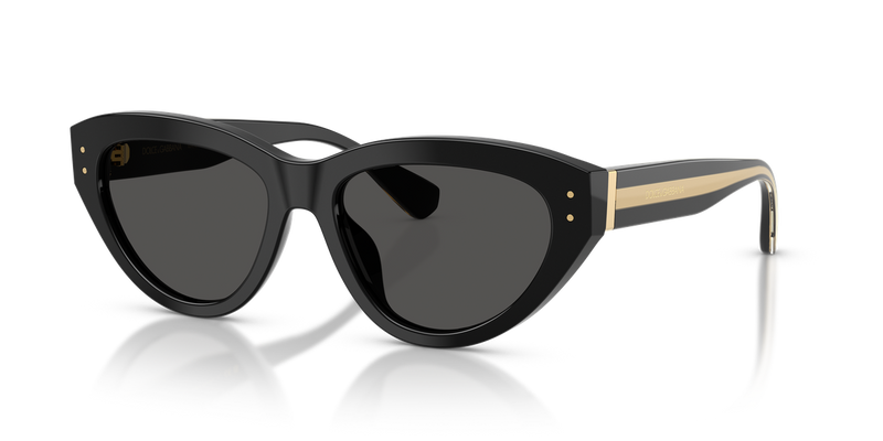 Dolce & Gabbana DG4558 in Black - Alternate View