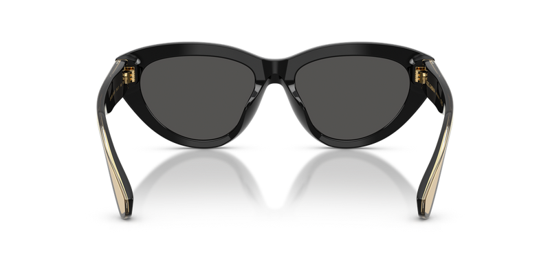 Dolce & Gabbana DG4558 in Black - Alternate View