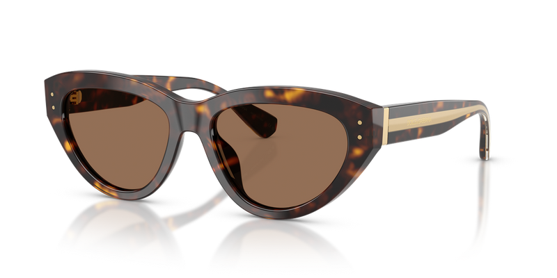 Dolce & Gabbana DG4558 in Havana - Alternate View