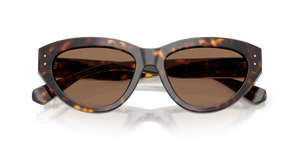 Havana / Dark Brown (502/73)
