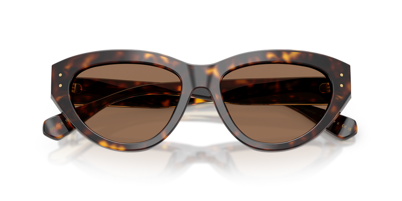 Dolce & Gabbana DG4558 in Havana - Alternate View