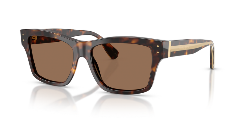 Dolce & Gabbana DG4559 in Havana - Alternate View