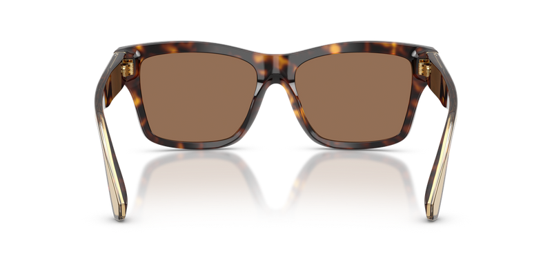 Dolce & Gabbana DG4559 in Havana - Alternate View