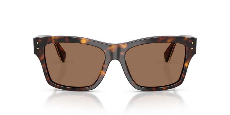 Dolce & Gabbana DG4559 in Havana - Alternate View