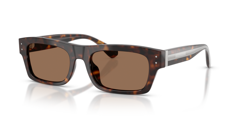 Dolce & Gabbana DG4560 in Havana - Alternate View