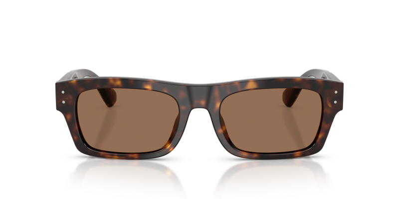 Dolce & Gabbana DG4560 in Havana - Alternate View