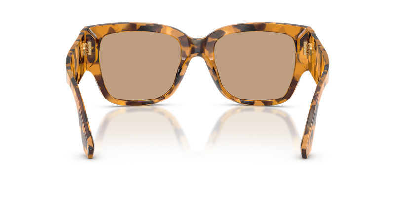Dolce & Gabbana DG4563 in Yellow Havana - Temple Detail