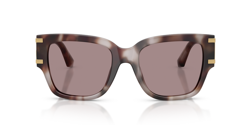 Dolce & Gabbana DG4563 in Violet Havana - Alternate View