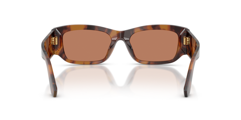 Dolce & Gabbana DG4564 in Red Havana - Temple Detail