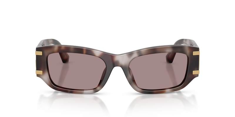 Dolce & Gabbana DG4564 in Violet Havana - Alternate View