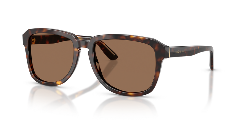Dolce & Gabbana DG4566 in Havana - Alternate View