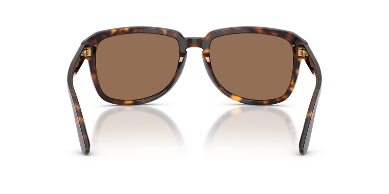 Dolce & Gabbana DG4566 in Havana - Alternate View