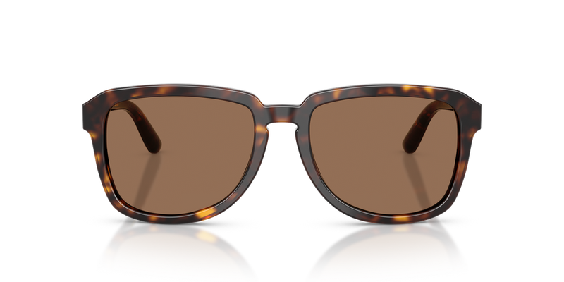 Dolce & Gabbana DG4566 in Havana - Alternate View