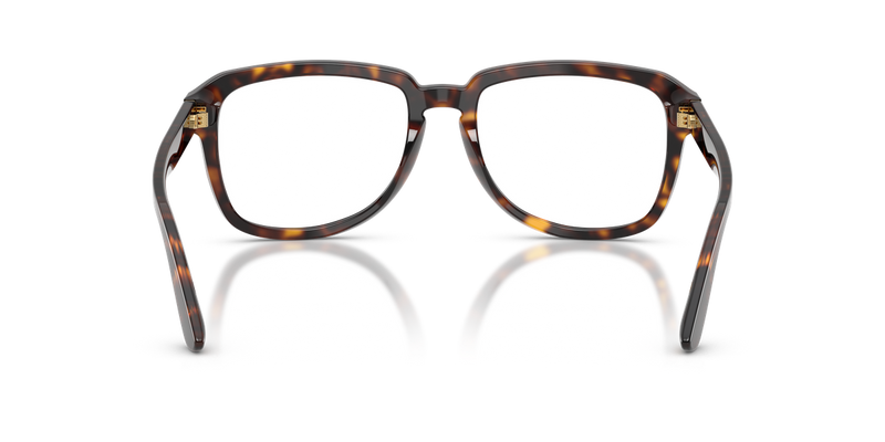 Dolce & Gabbana DG4566 in Havana - Alternate View
