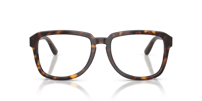 Dolce & Gabbana DG4566 in Havana - Alternate View