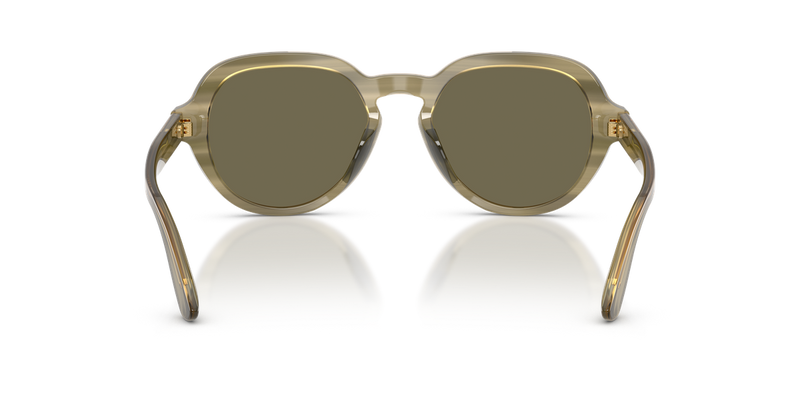 Dolce & Gabbana DG4567 in Transparent Green On Striped Green - Temple Detail