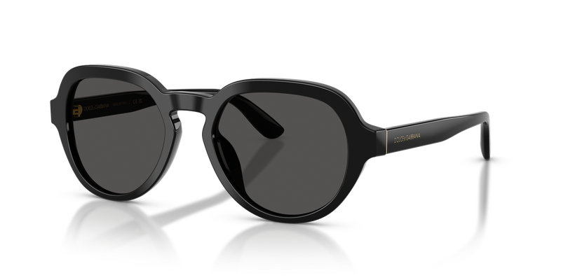 Dolce & Gabbana DG4567 in Black - Alternate View