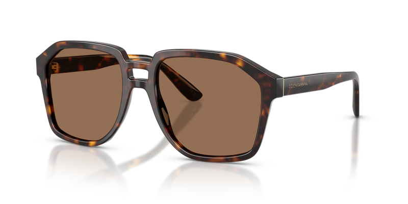Dolce & Gabbana DG4568 in Havana - Alternate View