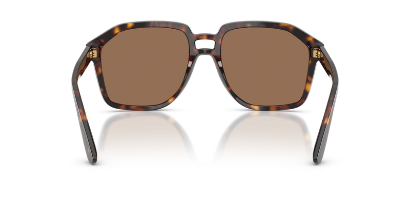 Dolce & Gabbana DG4568 in Havana - Alternate View
