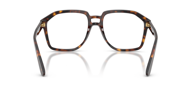 Dolce & Gabbana DG4568 in Havana - Alternate View