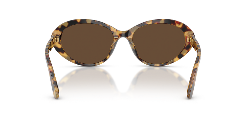 Dolce & Gabbana DG4570 in Yellow Havana - Alternate View