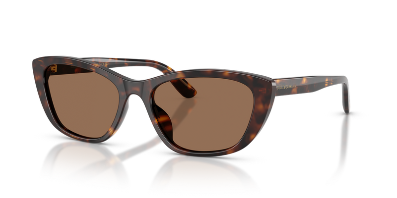 Dolce & Gabbana DG4571 in Havana - Alternate View