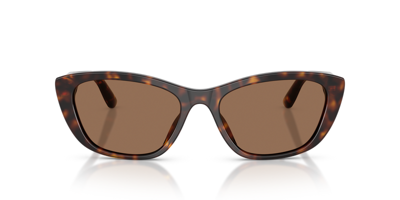 Dolce & Gabbana DG4571 in Havana - Alternate View