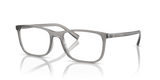 Transparent Grey / Demo Lens (3160)