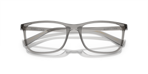 Transparent Grey / Demo Lens (3160)