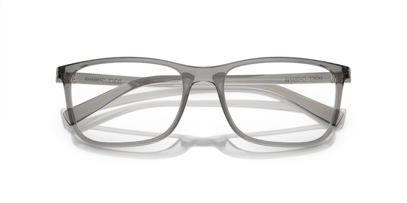 Dolce & Gabbana DG5027 in Transparent Grey / Demo Lens (3160) - Alternate View