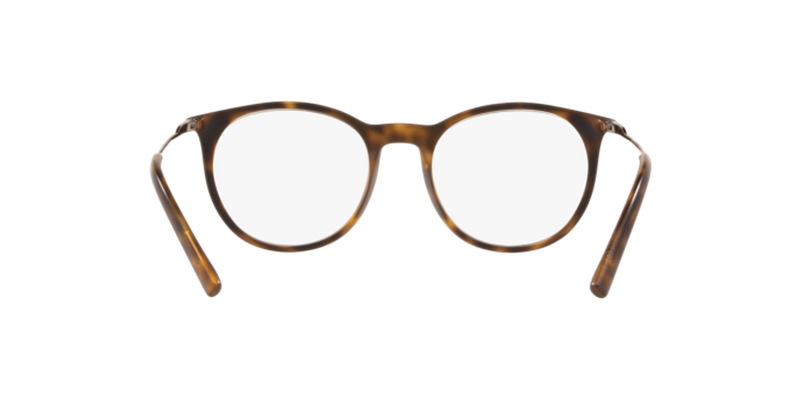 Dolce & Gabbana DG5031 in Matte Havana - Back View