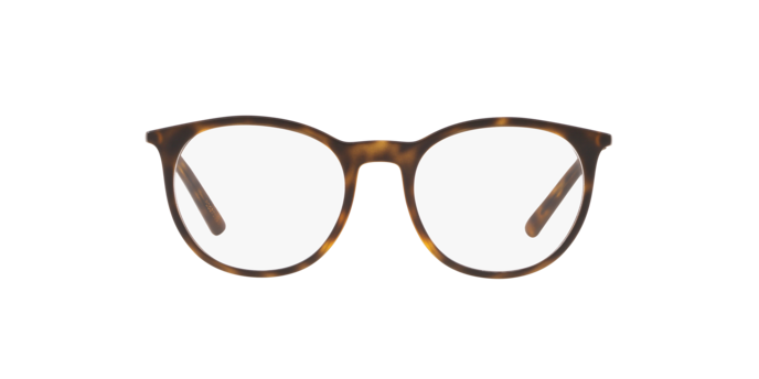 Dolce & Gabbana DG5031 in Matte Havana / Demo Lens (1935) - Alternate View