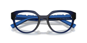 Transparent Dark Blue / Demo Lens (3009)