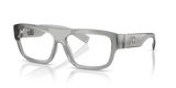 Transparent Grey / Demo Lens (3160)