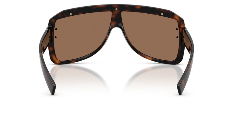 Dolce & Gabbana DG6205 in Havana - Alternate View